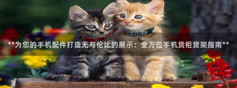 杏运体育app下载安装