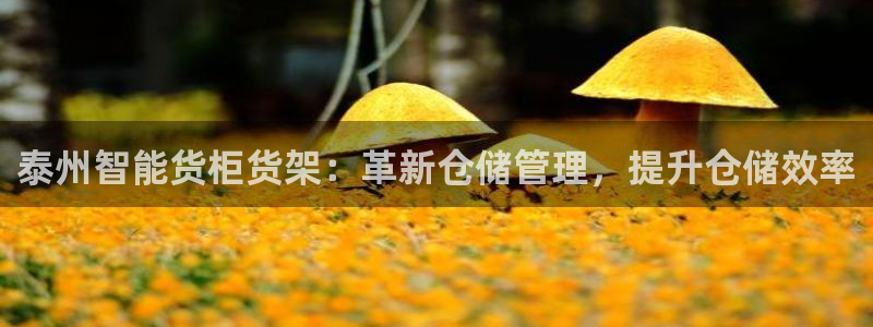 杏运注册平台