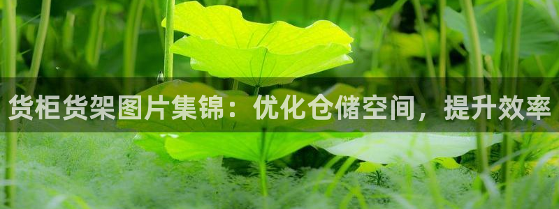 杏运娱乐怎么样