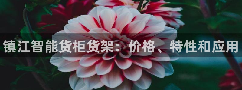 杏运平台官方网站