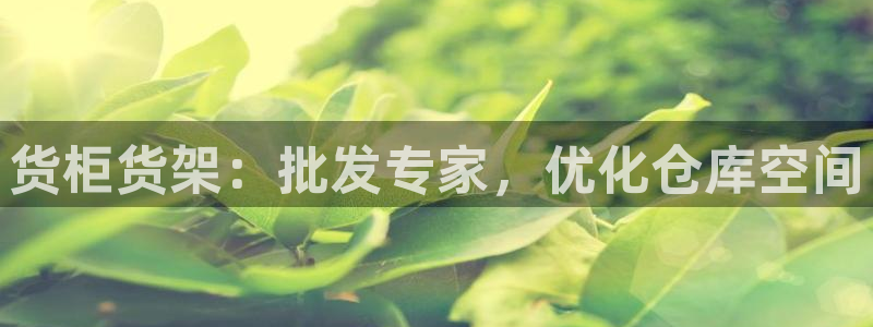 杏运代理