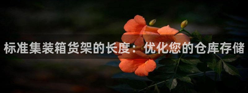 杏运注册登录地址