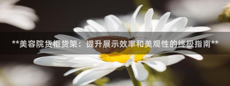 杏运汽车