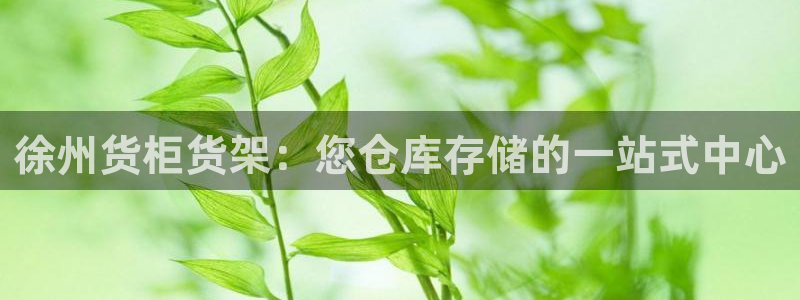 杏运平台招商