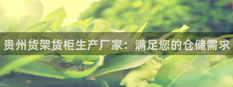 杏运相伴