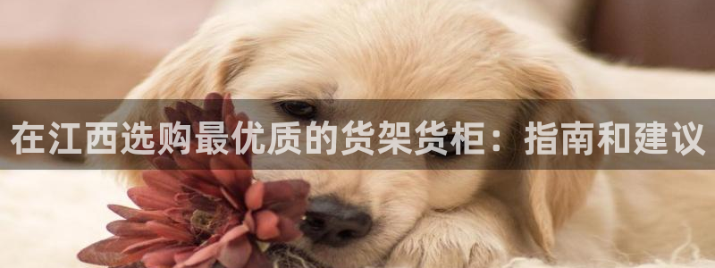 杏运体育注册