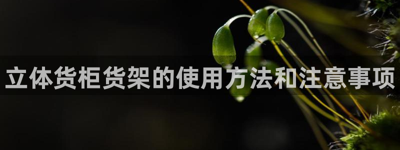 杏运体育注册