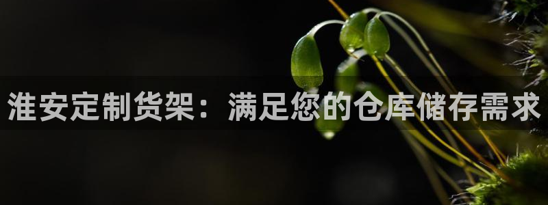 杏运体育登录