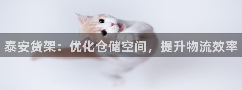 杏运注册登录地址