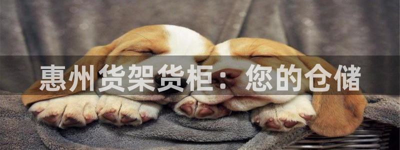 杏运平台注册登录