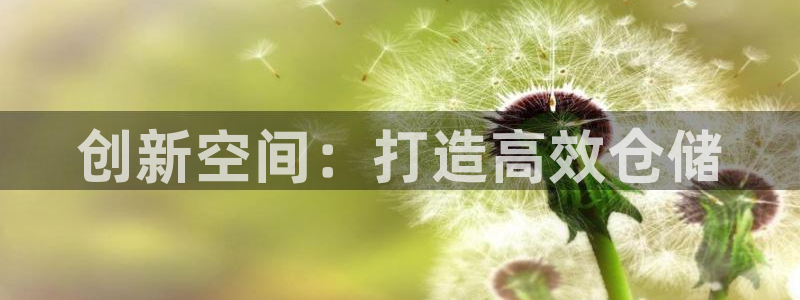 杏运体育官网