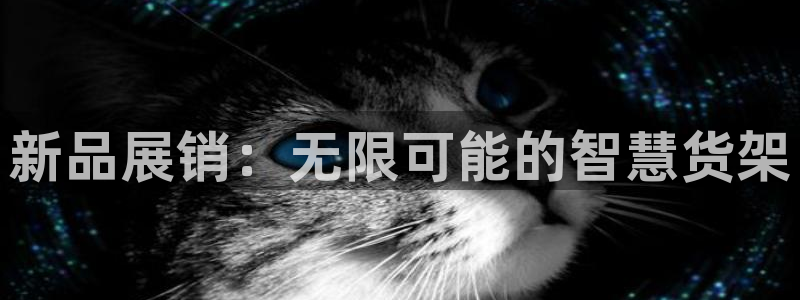杏运汽车招商