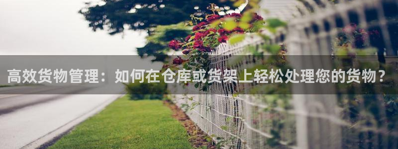 杏运娱乐怎么样：高效货物管理：如何在仓库