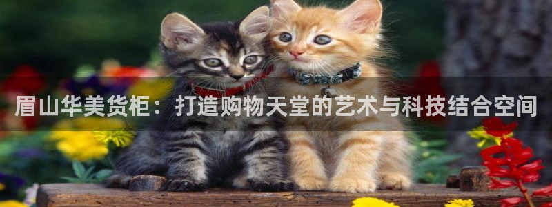 杏运注册账号：眉山华美货柜：打造购物天堂