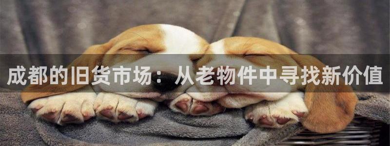 杏运平台注册登录