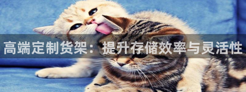 杏运平台登陆：高端定制货架：提升存储效率