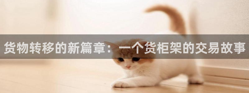杏运汽车招商