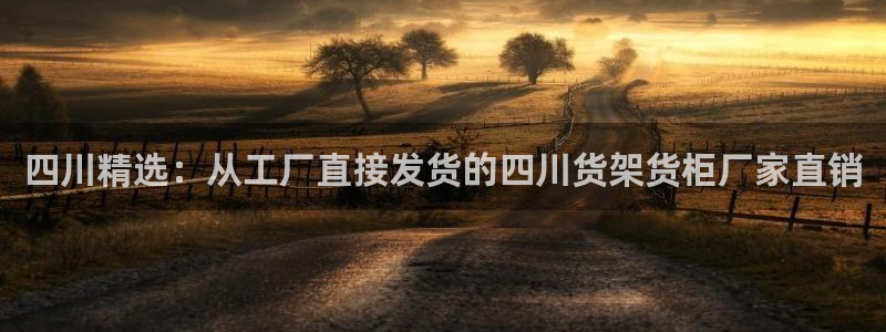 杏运汽车招商