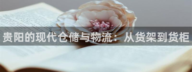 杏运体育怎么样：贵阳的现代仓储与物流：从