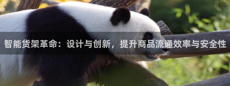 杏运体育怎么样：智能货架革命：设计与创新