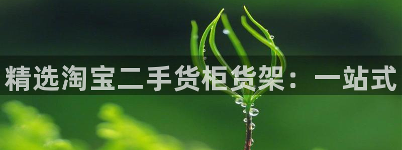 杏运娱乐怎么样：精选淘宝二手货柜货架：一