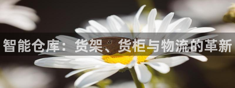 杏运体育官方网址：智能仓库：货架、货柜与