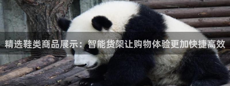杏运新能源：精选鞋类商品展示：智能货架让