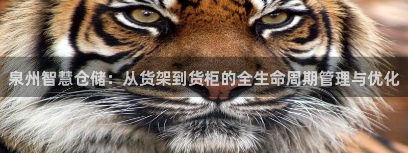 杏运平台官方网站