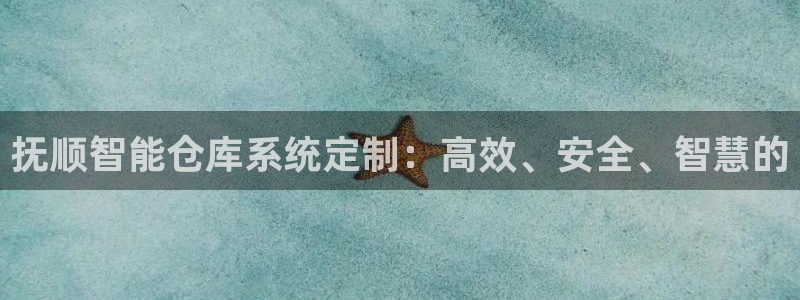 杏运体育平台：抚顺智能仓库系统定制：高效