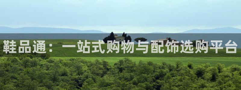 杏运汽车招商