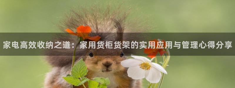 杏运体育平台