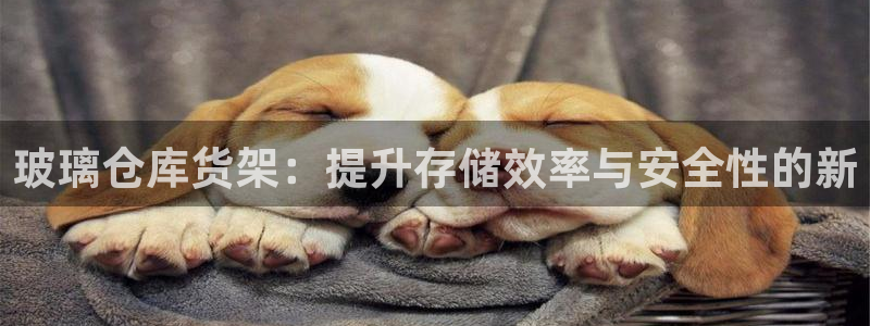 杏运汽车招商：玻璃仓库货架：提升存储效率