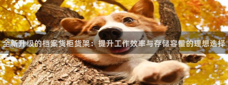 杏运注册登录