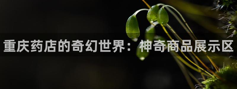 杏运体育app下载安装手机版