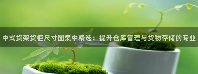 杏运体育app下载安装