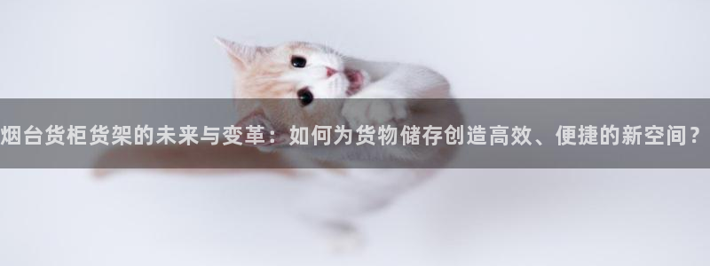 杏运汽车招商