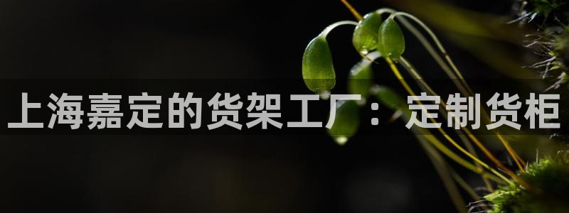 杏运平台注册