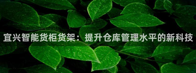 杏运平台代理