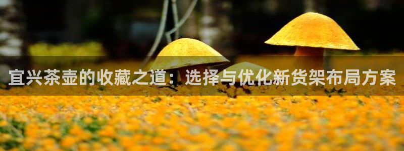 杏运娱乐怎么样