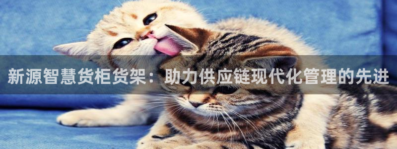 杏运体育官方网址登录