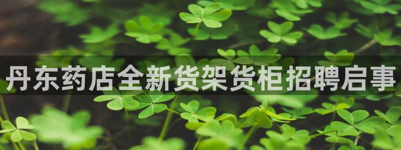 杏运相伴