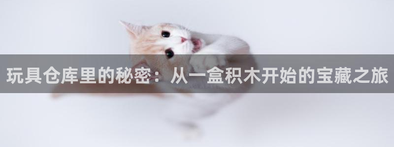 杏运体育官方网址登录