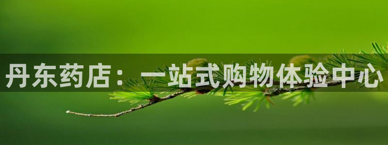 杏运体育官方网址登录