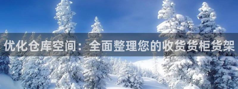 杏运体育app下载安装：优化仓库空间：全