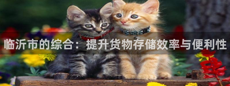 杏运平台注册登录