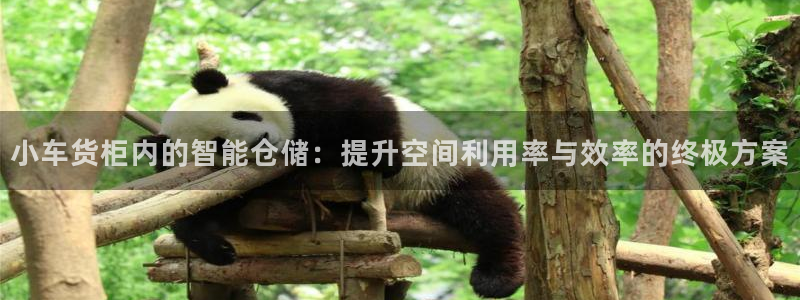 杏运体育官网：小车货柜内的智能仓储：提升