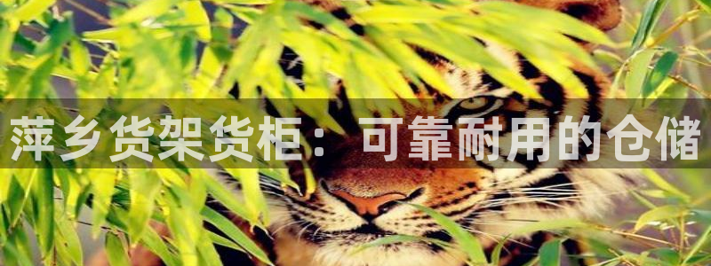 杏运平台官方网站